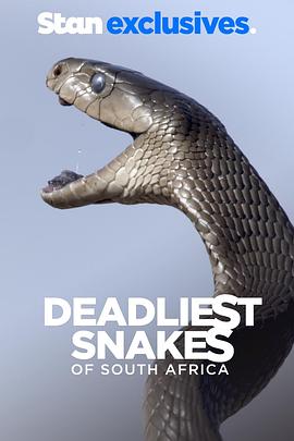 南非致命毒蛇(全集)