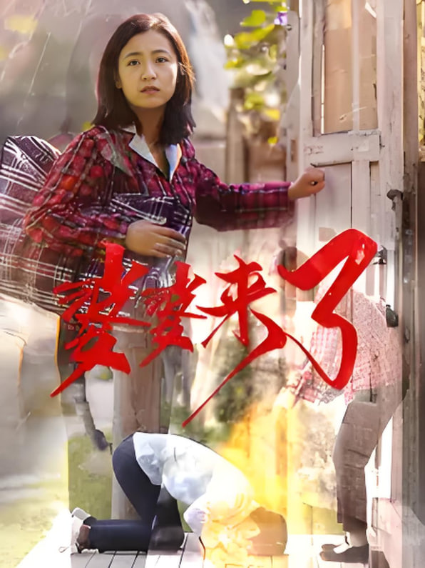 安澜进城(全集)