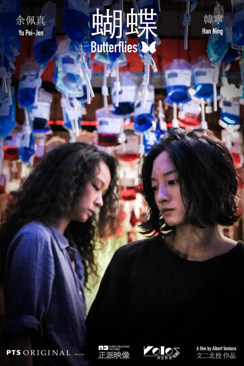 蝴蝶 2021