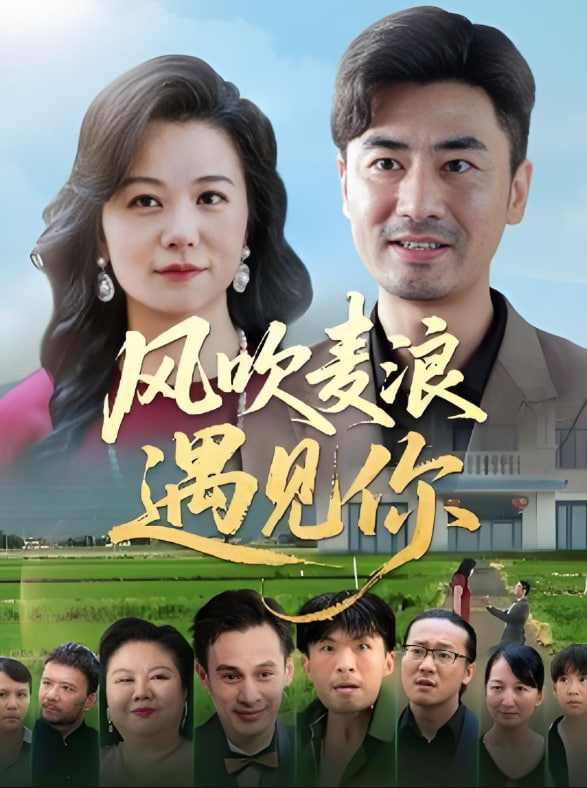 风吹麦浪遇见你(全集)