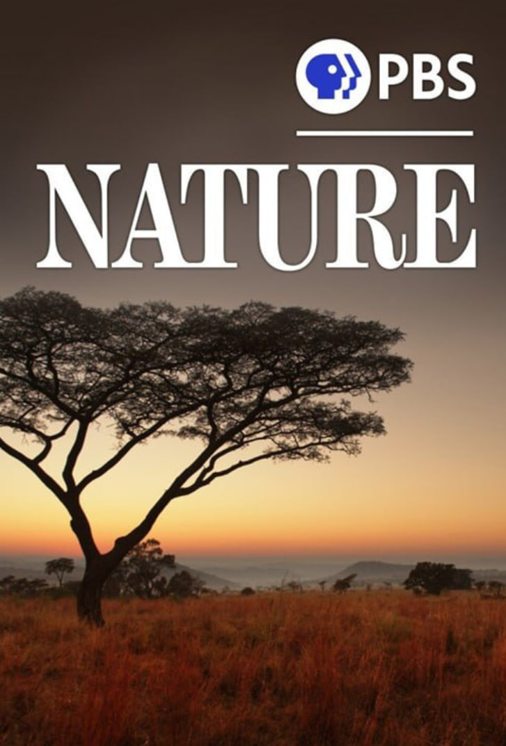 自然 第四十季(全集)