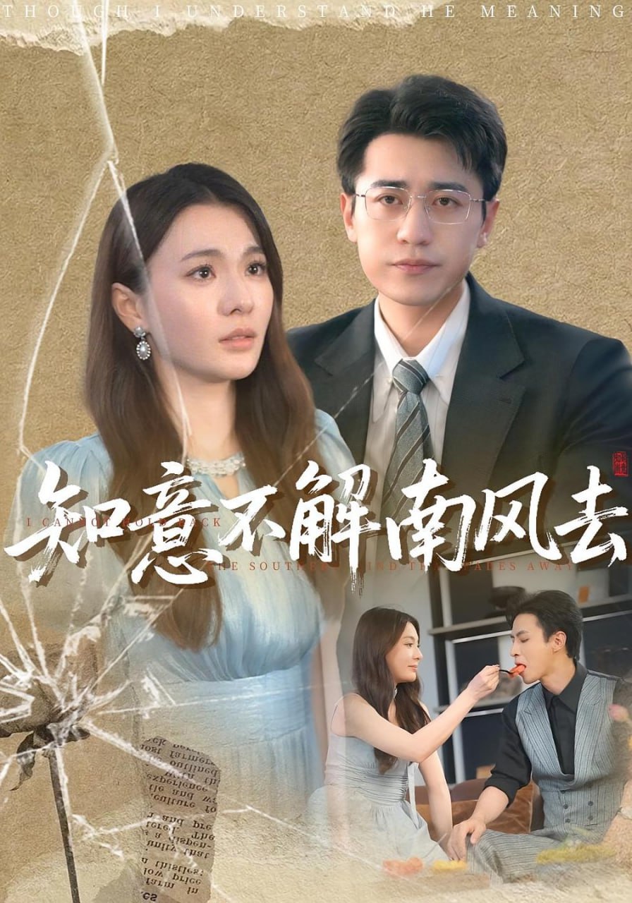 知意不解南风去(全集)