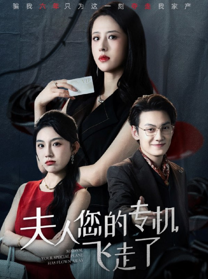 夫人您的专机飞走了(全集)