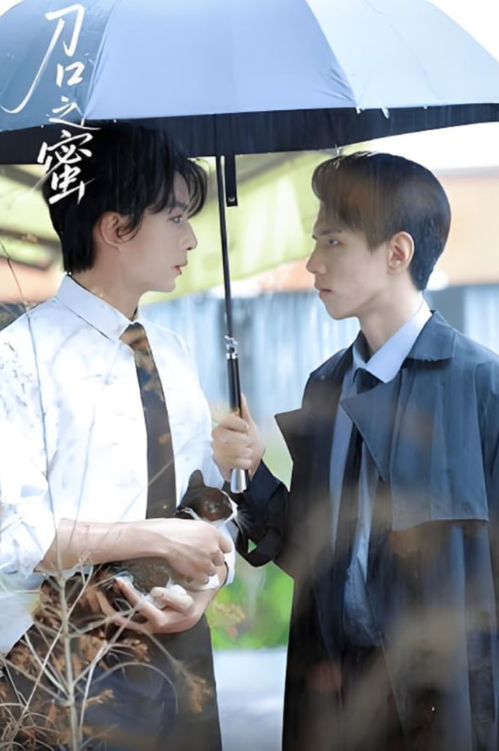 刀口之蜜(全集)