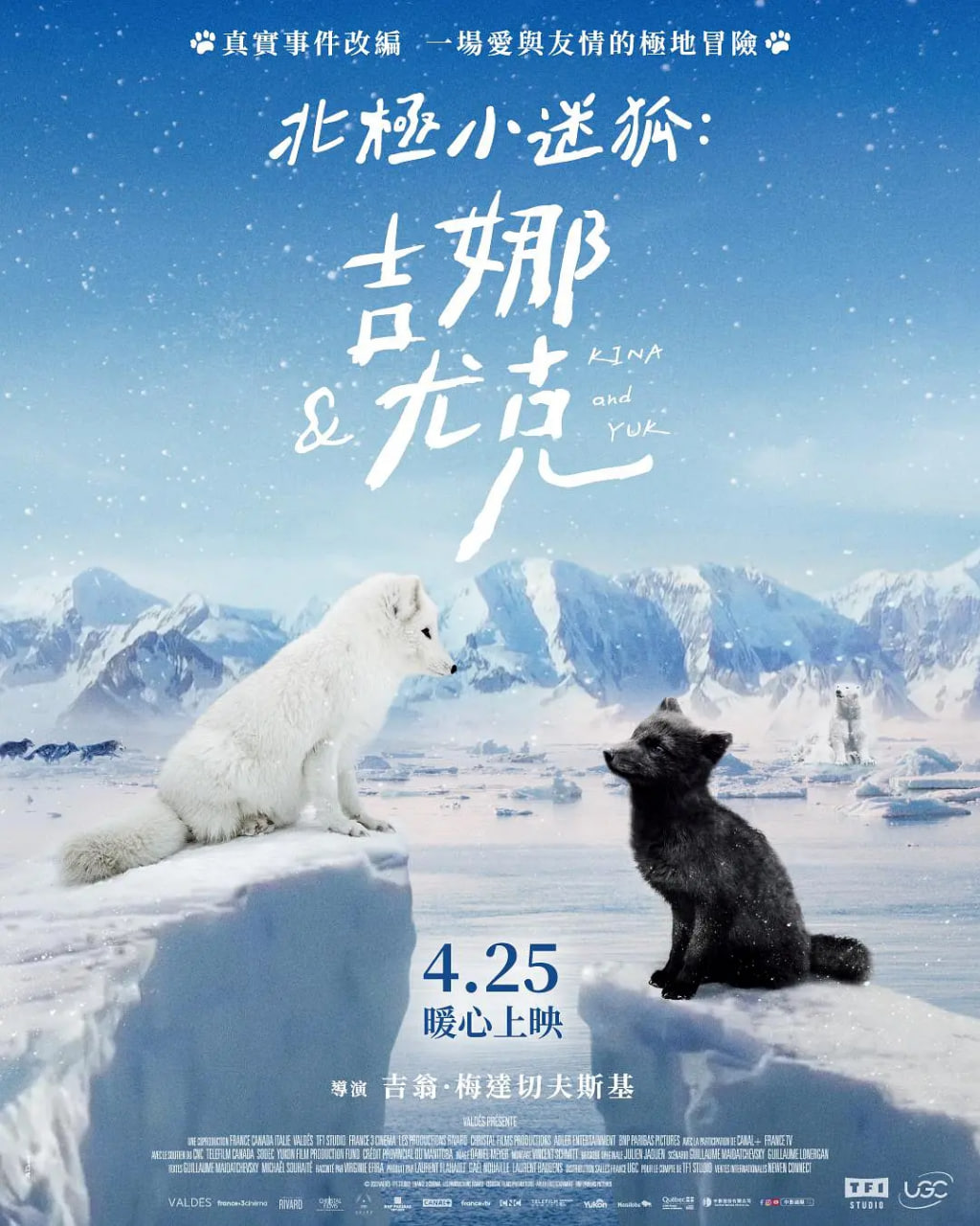 北极小迷狐：吉娜和尤克