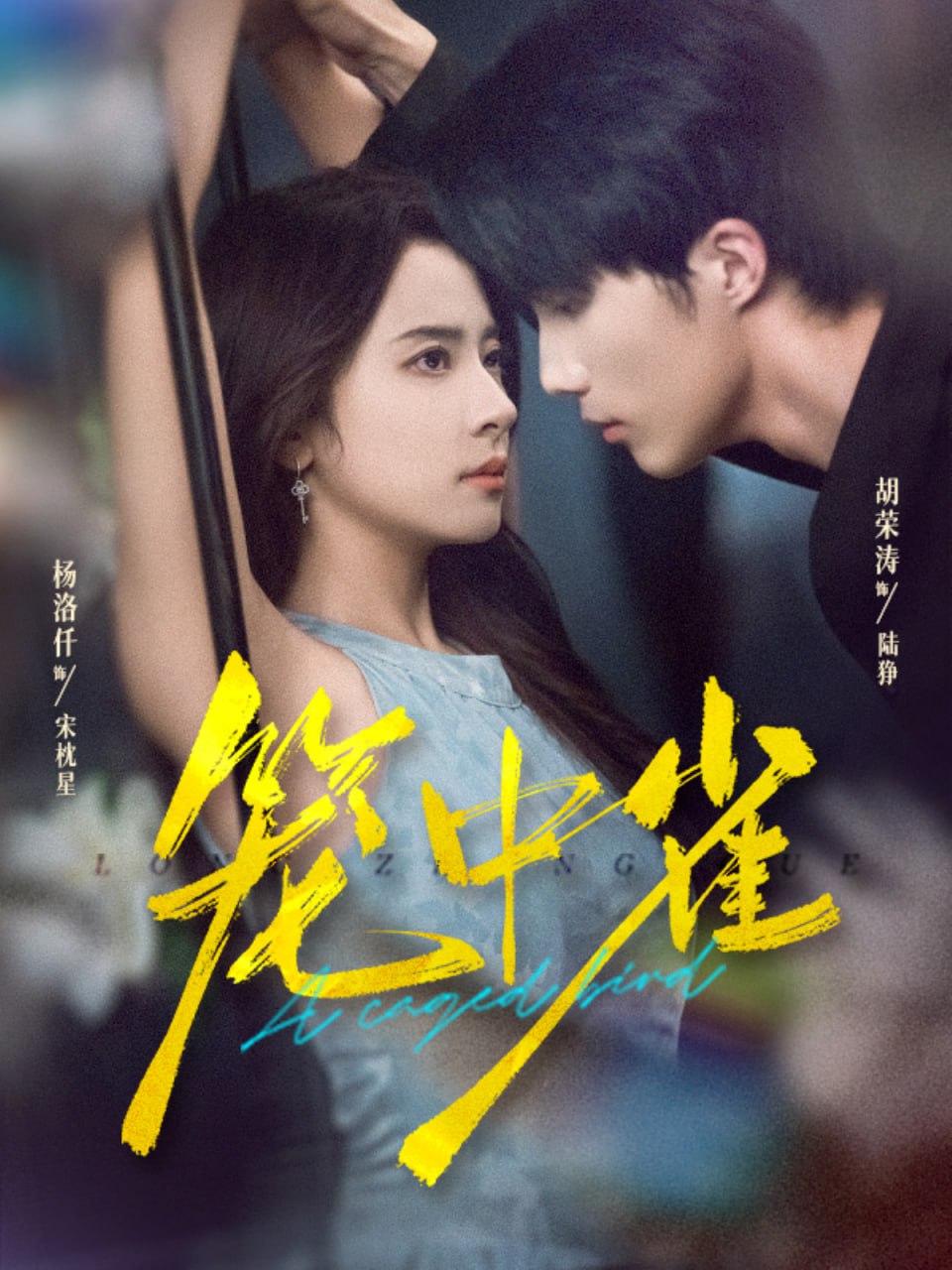 笼中雀 2025(全集)