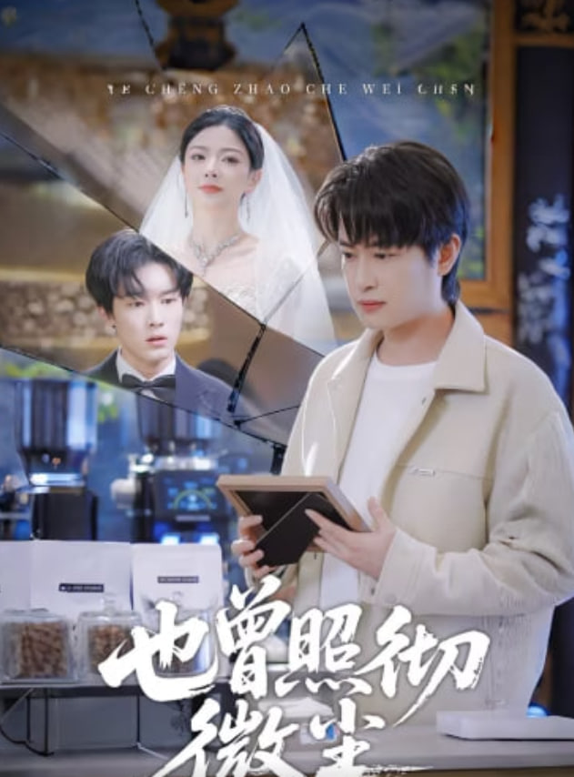 也曾照彻微尘(全集)