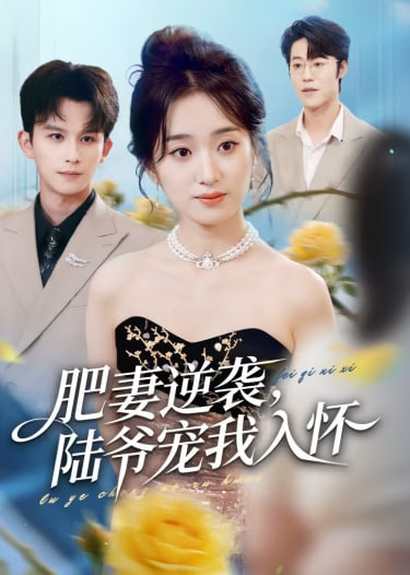 肥妻逆袭，陆爷宠我入怀(全集)