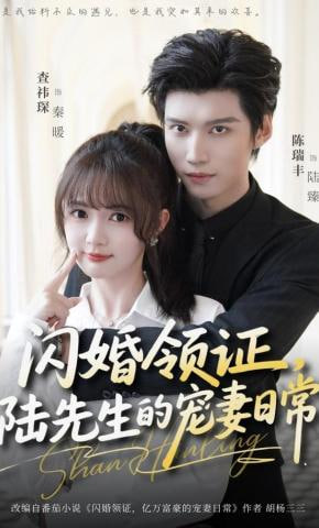 闪婚领证，陆先生的宠妻日常(全集)