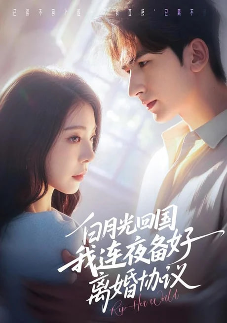 白月光回国我连夜备好离婚协议(全集)