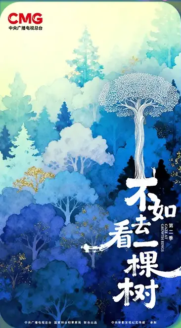 不如去看一棵树 第三季