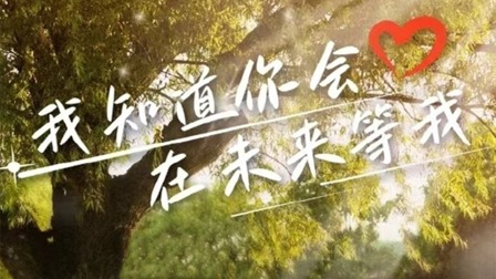 我知道你会在未来等我